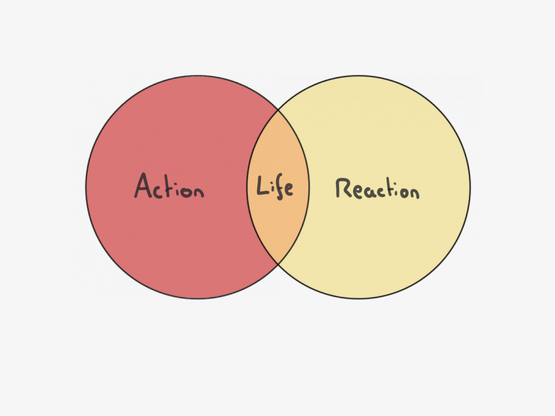 action reaction life