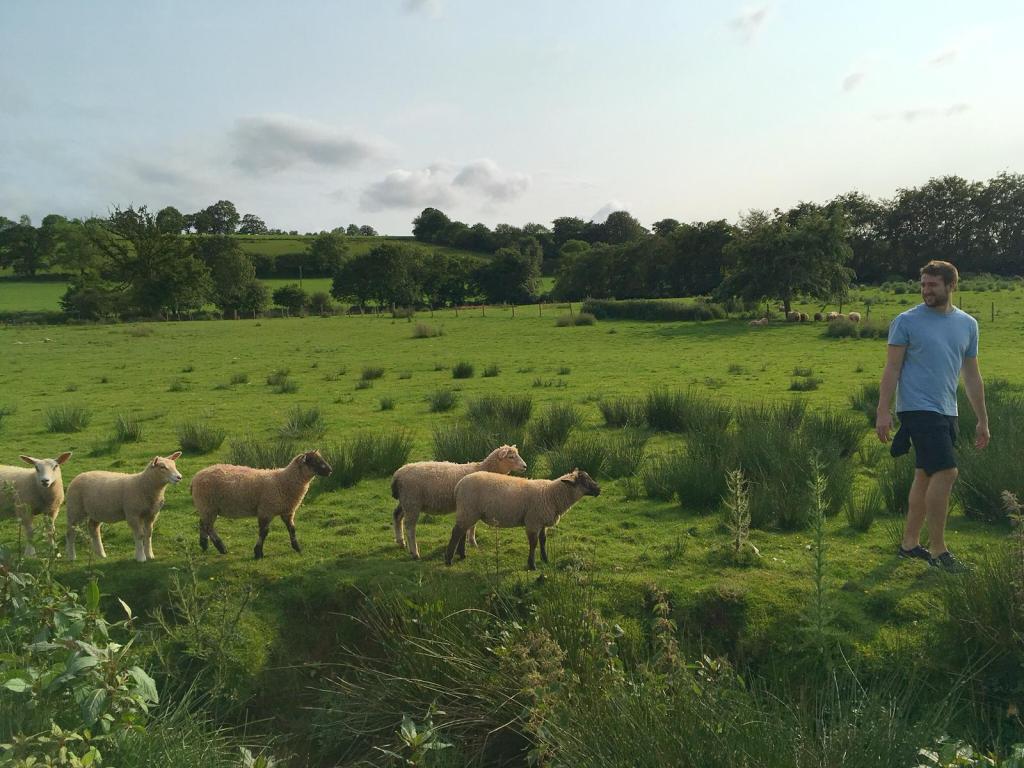 Photo 03-06-2019, 06 25 46